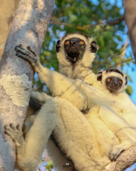 Isalo National Park: A Canyon Wonderland of Sandstone and Savanna ...